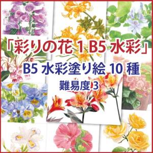 「彩りの花1」B5水彩 10種セット｜nurie-tsuhan