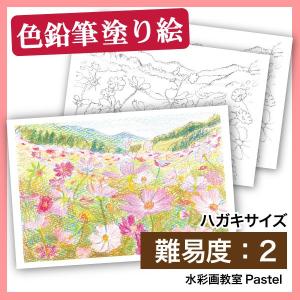 【色鉛筆 ハガキ 風景塗り絵】コスモス畑（葉書）｜nurie-tsuhan