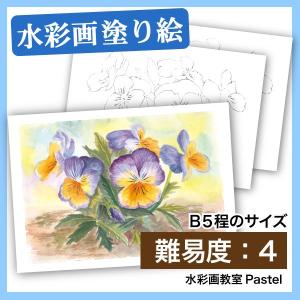 【大人の塗り絵 水彩 お花・植物画】パンジー1｜nurie-tsuhan