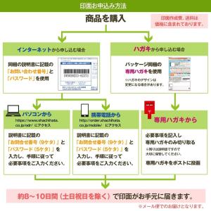[メールオーダー] 印鑑 シヤチハタ ネームエ...の詳細画像1