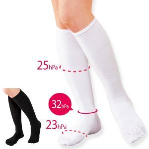 エナジック ハイソックス BiBi Grant エナジックハイソックス LL