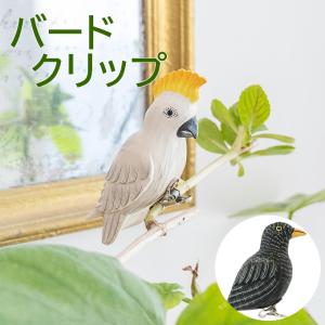 ELEMENTS 置き物 オブジェ 鳥 木製 木彫り カモメ 動物 ディスプレイ