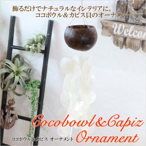ハワイアン雑貨 ココボウル&カピス オーナメン...の詳細画像1