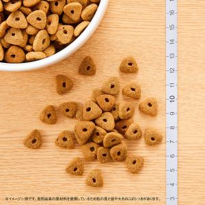 ニュートロ シュプレモ 全犬種用 エイジングケ...の詳細画像1