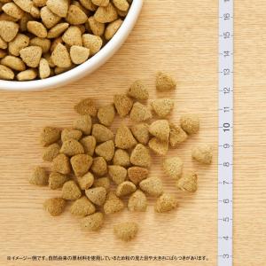 2袋セット ニュートロ ナチュラルチョイス ス...の詳細画像1
