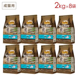 ニュートロ キャット ワイルドレシピ 子猫用 チキン＆ツナ なめらかな