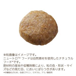 ニュートロ キャット ワイルドレシピ アダルト...の詳細画像1