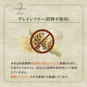 ニュートロ キャット ワイルドレシピ アダルト...の詳細画像3