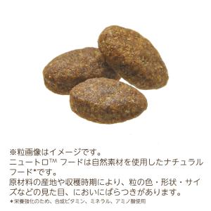 ニュートロ シュプレモ 超小型〜小型犬用 成犬...の詳細画像1