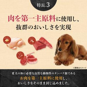 ニュートロ シュプレモ 超小型〜小型犬用 成犬...の詳細画像4