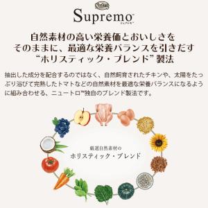ニュートロ シュプレモ シニア犬用 ミニパウチ...の詳細画像4
