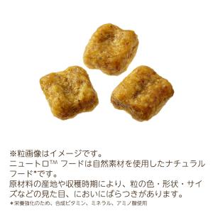 ニュートロ ナチュラルチョイス プレミアムチキ...の詳細画像1