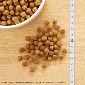 ニュートロ ナチュラルチョイス プロテインシリ...の詳細画像1