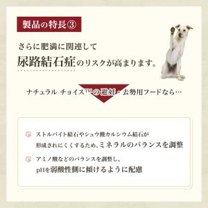 ニュートロ ナチュラルチョイス 避妊・去勢犬用...の詳細画像4