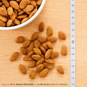 ニュートロ シュプレモ 全犬種用 成犬用 [4...の詳細画像1