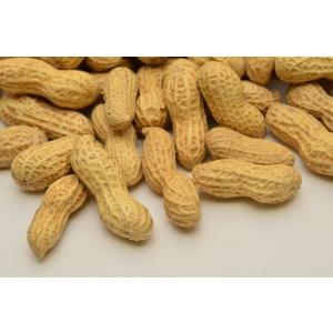 1kg さや付落花生の詳細画像1