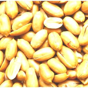 700gバタピー バターピーナッツ 業務シリーズの詳細画像1