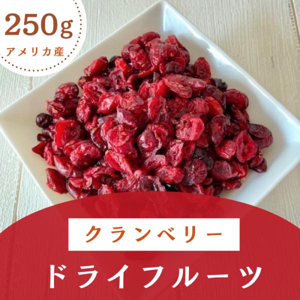 クランベリー ドライフルーツ アメリカ産 250g 春の味覚