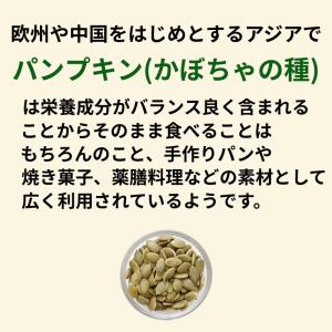 素焼パンプキン かぼちゃの種 360g(90g...の詳細画像5