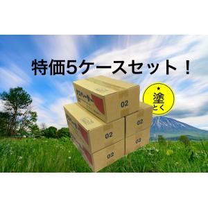 セイム　タスペーサー02　500個入　5ケースセット