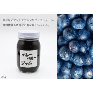 無添加ブルーベリージャム 500g てんさい糖使用 白砂糖不使用 ペクチン不使用 保存料不使用 酸味料不使用 ビート糖 甜菜糖