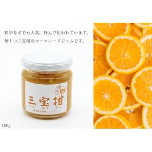三宝柑マーマレードジャム　180g　てんさい糖使用 白砂糖不使用 ペクチン無添加 保存料無添加 酸味...