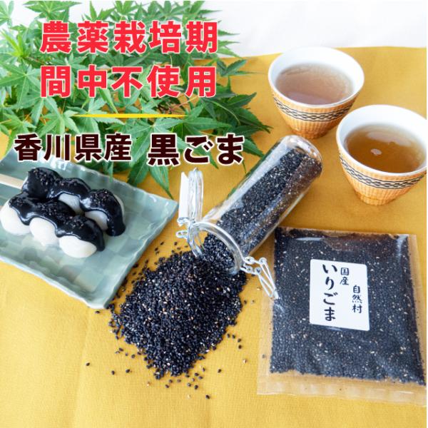 いりごま（黒） 45g　農薬:栽培期間中不使用 希少な国産ごま 国産 香川県産 セサミ キャラ弁 お...
