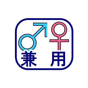 小松基地第303飛行隊 ファイティングドラゴン...の詳細画像5