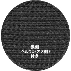ブルーインパルス 2018年度 ツアー(シーズ...の詳細画像1