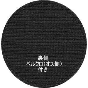 第204飛行隊ミスティックイーグル10周年記念...の詳細画像1