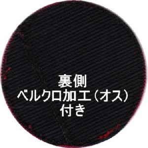 三沢所属時代の 第8飛行隊 ファントムラスト→...の詳細画像1