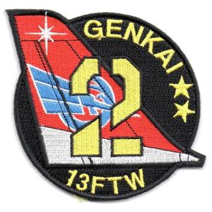 飛行教導群アグレッサー創隊30周年記念パッチ 黒鱗 コブラパッチ : 空