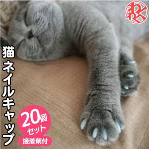 猫 ネイルキャップ 20個セット接着剤付  カバー ひっかき傷防止