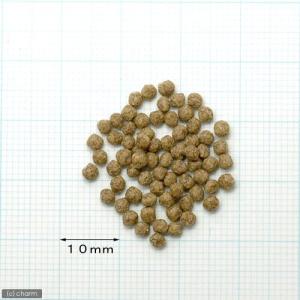 カメのエサ 50gの詳細画像1