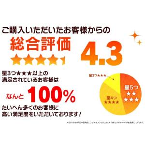 猫砂 木 猫トイレ 燃えるゴミ 脱臭 抗菌 固...の詳細画像3