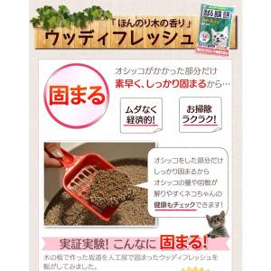 猫砂 木 猫トイレ 燃えるゴミ 脱臭 抗菌 固...の詳細画像4