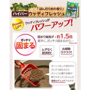 猫砂 木 猫 トイレ ネコ砂 脱臭 固まる ベ...の詳細画像4