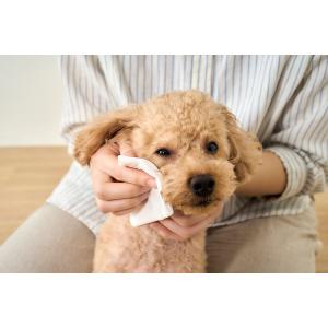 ウェットティッシュ ペット用 ペット (25枚...の詳細画像2