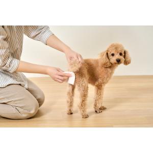 ウェットティッシュ ペット用 ペット (25枚...の詳細画像3