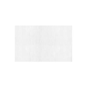 ウェットティッシュ ペット用 ペット (25枚...の詳細画像4