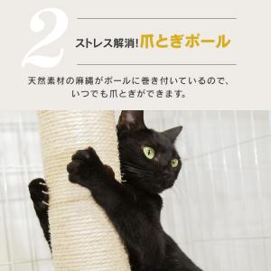 猫 ケージ 猫ゲージ 猫ケージ 大型 3段 お...の詳細画像5