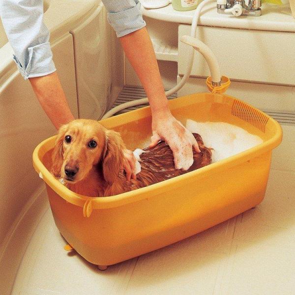 ペット用 バスタブ BO-600E オレンジ アイリスオーヤマ お風呂 桶 たらい 犬 猫 シャンプ...