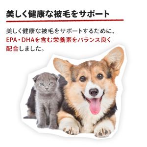 ロイヤルカナン 犬 ミニ インドア アダルト室...の詳細画像4