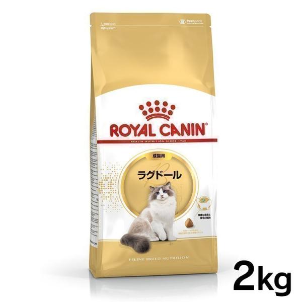 ロイヤルカナン 猫 ラグドール 成猫用 2kg 正規品 キャットフード