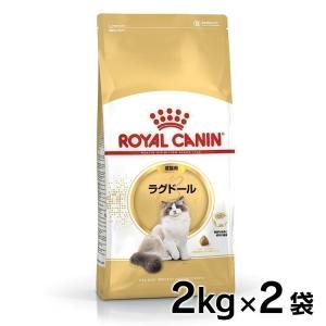 ロイヤルカナン 猫 ラグドール 成猫用 2kg×2個セット 正規品