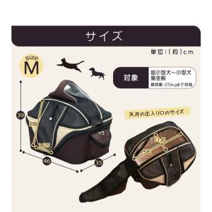 キャリーバッグ 猫 ペットキャリー ペットキャ...の詳細画像3