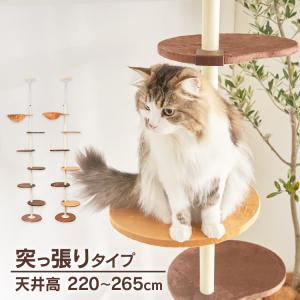キャットタワー 木製 突っ張り 猫 タワー 猫タワー 省スペース キャットポール ボンビアルコン