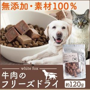 猫 犬 おやつ キャットフード ドッグフード 牛肉のフリーズドライ 犬・猫用 120g whitefox (D)(B) ペットフード 猫用 犬用 国産《処分売価》｜nyanko