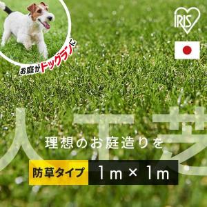 人工芝 幅1m ロール 1m 1m×1m ペット 防草 リアル防草人工芝 芝丈30mm 防草シート不要 人工芝生 芝生 庭 犬 ドッグラン アイリスオーヤマ RP-3011