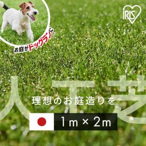 人工芝 幅1m ロール 1m 1m×2m 芝丈30mm ペット リアル人工芝 人工芝生 芝生 人工芝マット 庭 犬 ドッグラン アイリスオーヤマ IP-3012